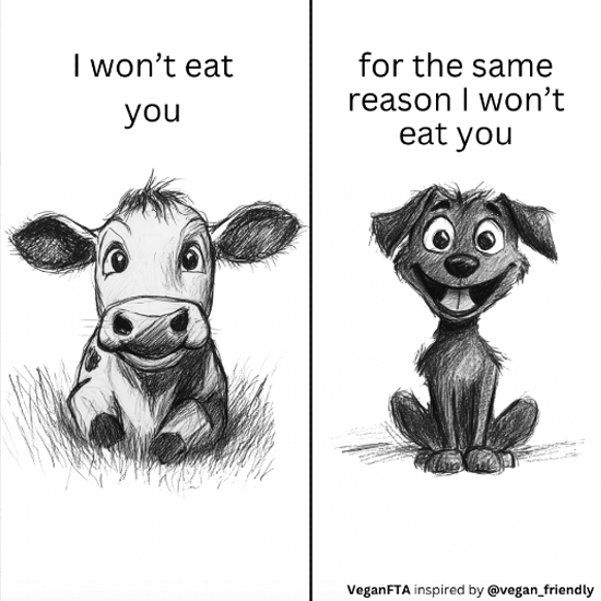 Meat-Free Plate tweet media