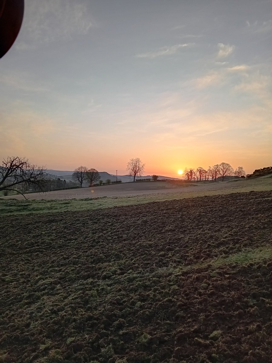 Another canny morning!