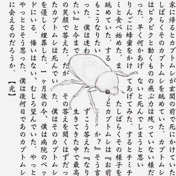 コトバ 