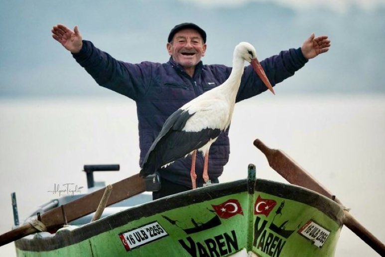Yaren leylek adem amcaya kavuştu…

68.000 öğretmende öğrencilerine kavuşmak istiyor. Yusuf Tekin 

#ÖğretmeneKabineden68BinAtama