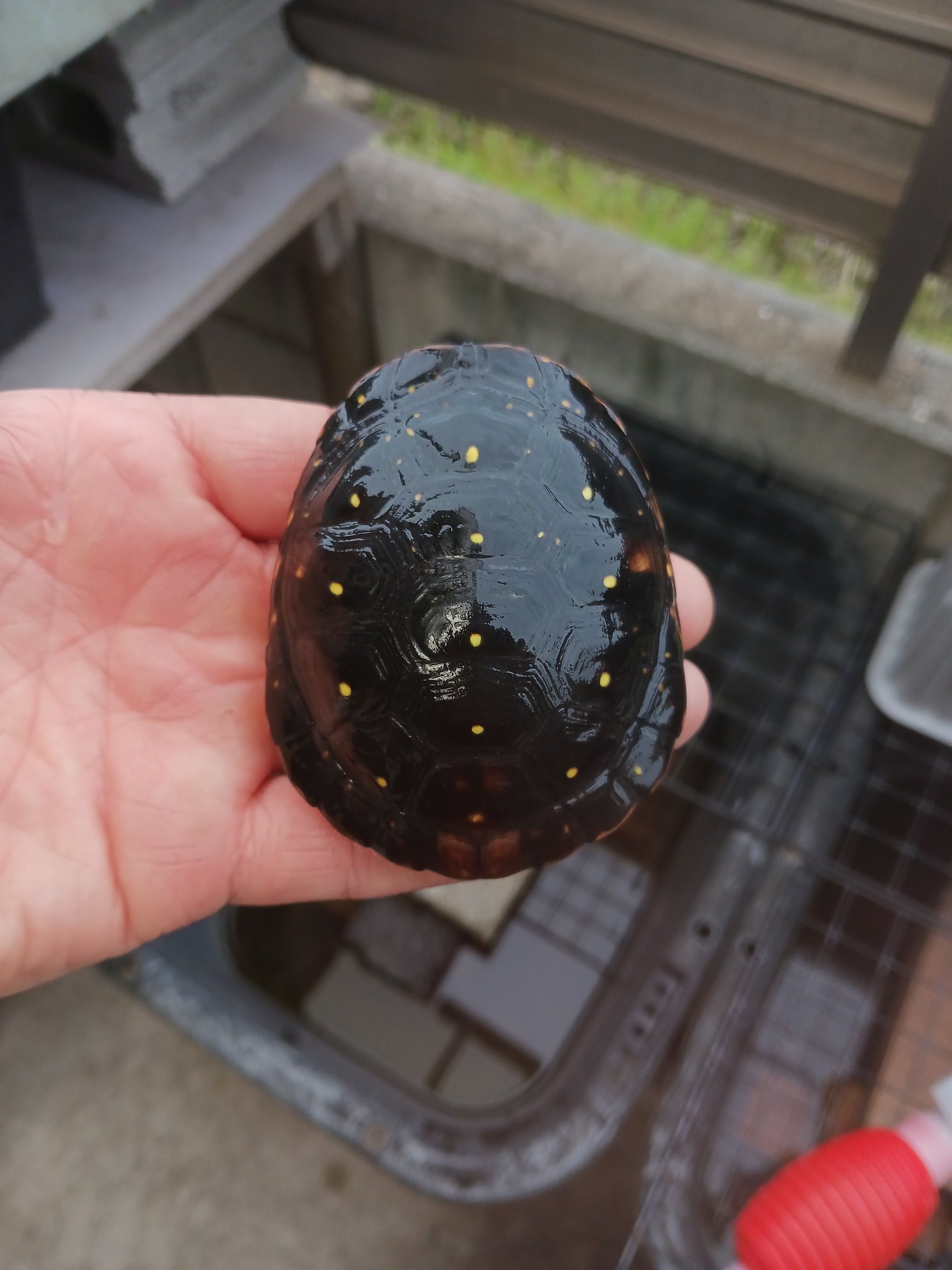 アルファー亀 MITSUBA 防犯ブザー バイク ミツバサンコーワ ホーン防犯ブザー