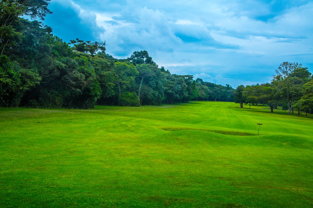 Tee off where history, prestige, and natural beauty meet. Karen Country Club offers an award-winning golf course, perfect greens, and timeless charm. 
Vote for us in the World Golf Awards – because you already know we’re Kenya’s best 😉 - worldgolfawards.com/vote/karen-cou…

#WeAreKaren