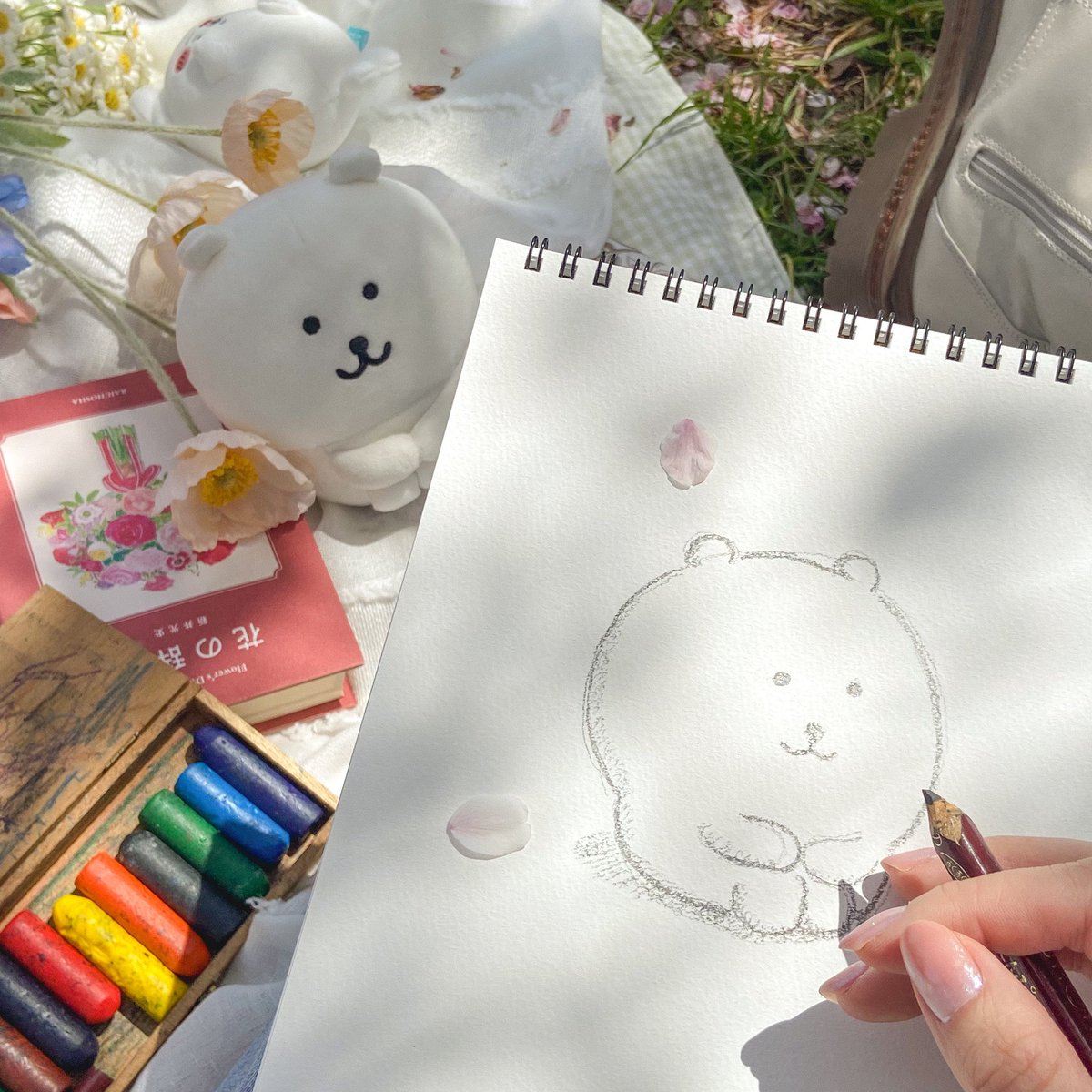 ふめポ (@kumahumepo) on Twitter photo 
