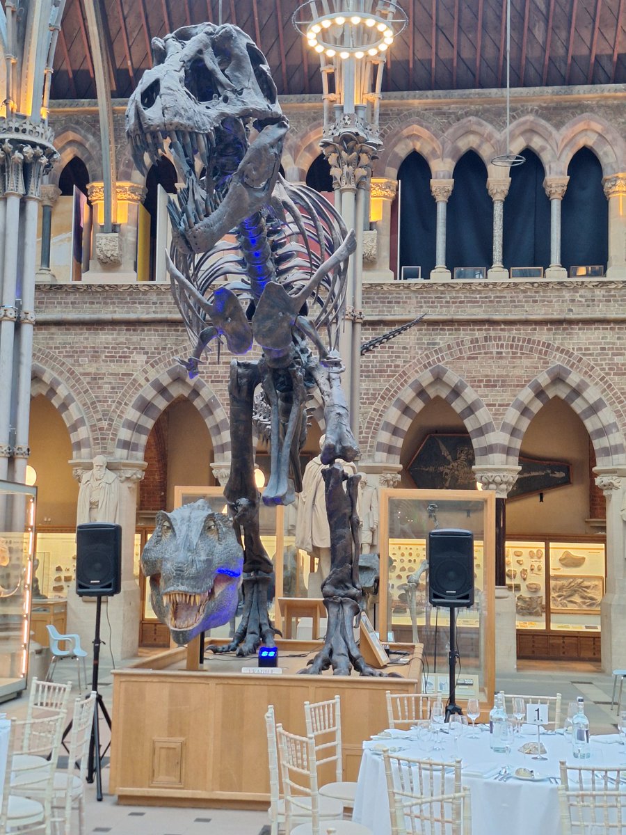 peterkrizan2's tweet photo. Conference dinner with a T-Rex 😀
#JENAS2025 #ECFA #NuPECC #APECC https://t.co/6vMkNWetoF