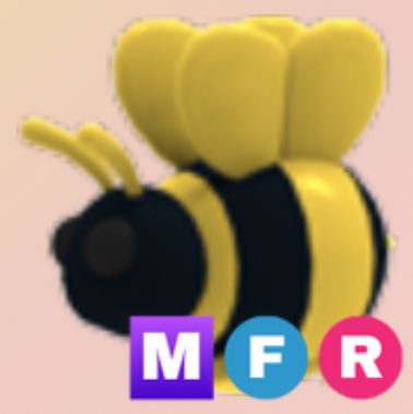 Day 13 of 3 weeks of gws
Mfr king bee!
no news today I’m late again 💔
To join you must:
Follow me (<a href="/annikahahx/">jay 🐟🤠(pls use my mm services)</a>)
Follow <a href="/coconutshell04/">mi ⭐️🖇️🪼👅</a> 
and follow <a href="/osakaluvrxoxo/">osakaluvr</a> 
like
Rt
Reply with ur fav adopt me bug pet 🫣
Extras in thread 🤠