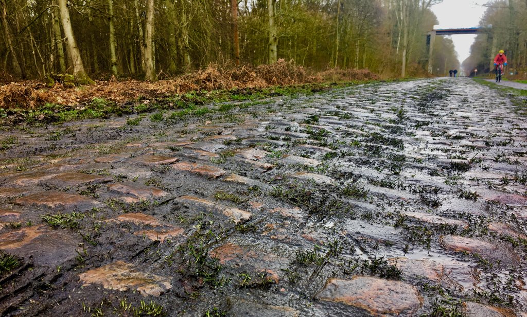 Theo de Rooij. Roubaix
Theo: "Esta carrera es una mierda, vas como un animal, no tienes tiempo ni para mear, te lo haces encima, lleno de barro, resbalas, te caes.... una mierda

Periodista:" Volverás el año que viene "?

Theo:" Por supuesto, es la carrera más bonita del mundo".