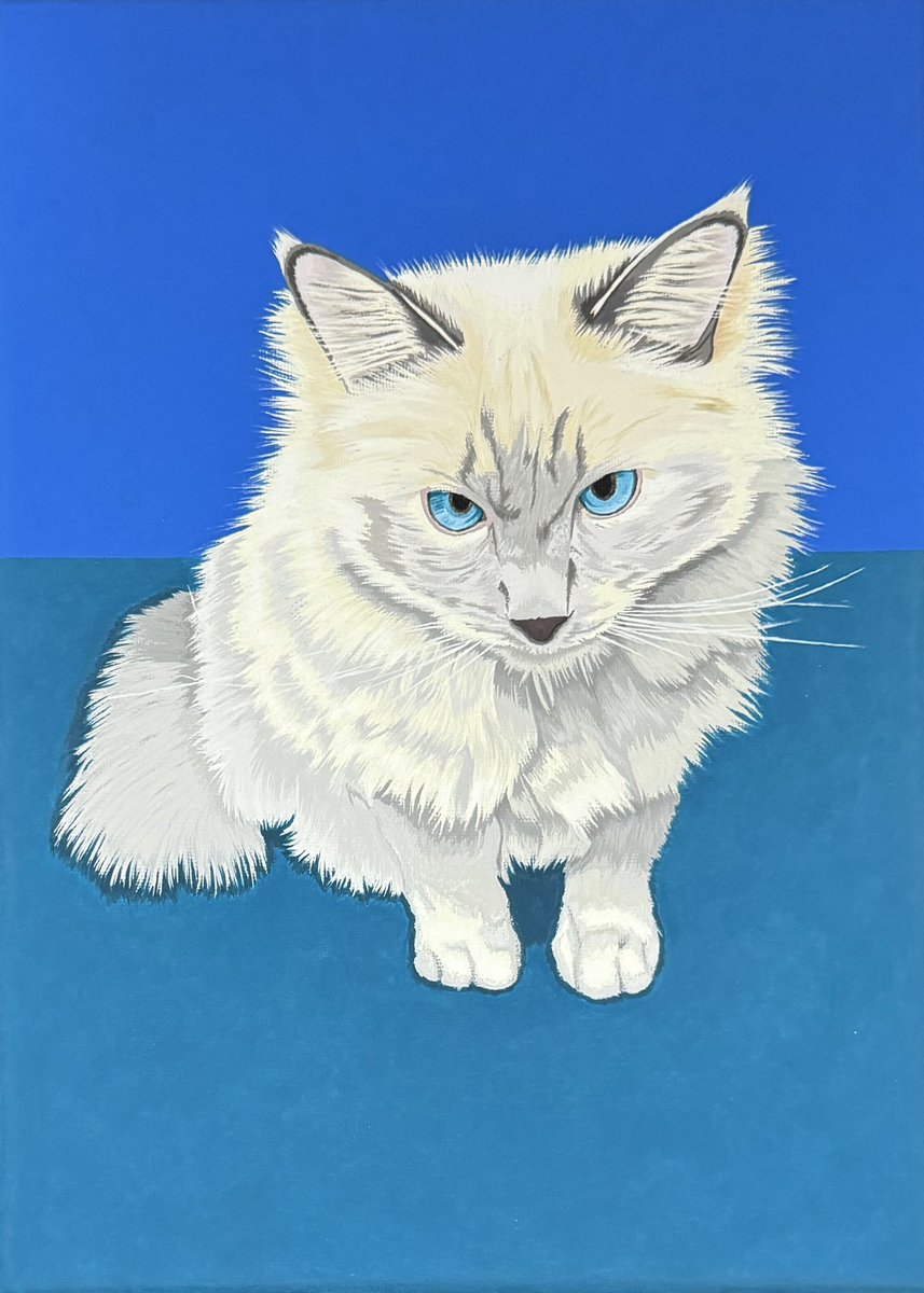 antonio_anton_a's tweet photo. Part2.見つめる猫.ｷｬﾝﾊﾞｽF4.333x242 #オリジナル #drawing #art #illustration #イラスト #アナログ #手描き #ドローイング #猫 https://t.co/VFewYlhADO