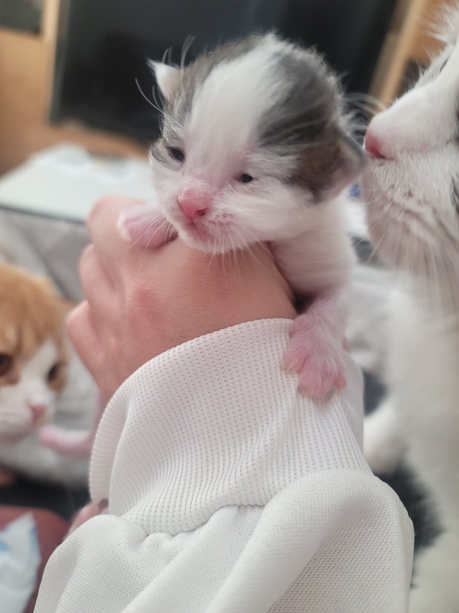 目が少しあいた