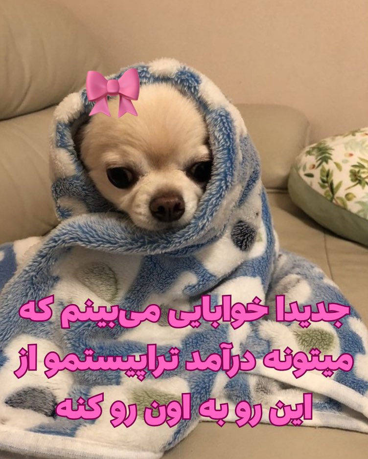 𝑀𝑎𝑡𝑖𝑛 (@callmattt) on Twitter photo 