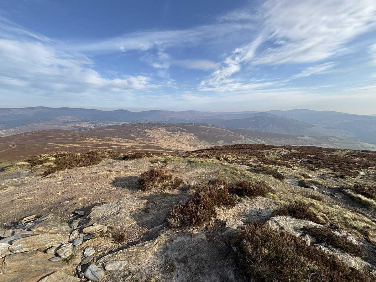 Becca3Artach's tweet photo. Toast on top of the world #wicklowmountains #Scarr #womansbestfriend #labrador https://t.co/1Xz5vnemDf