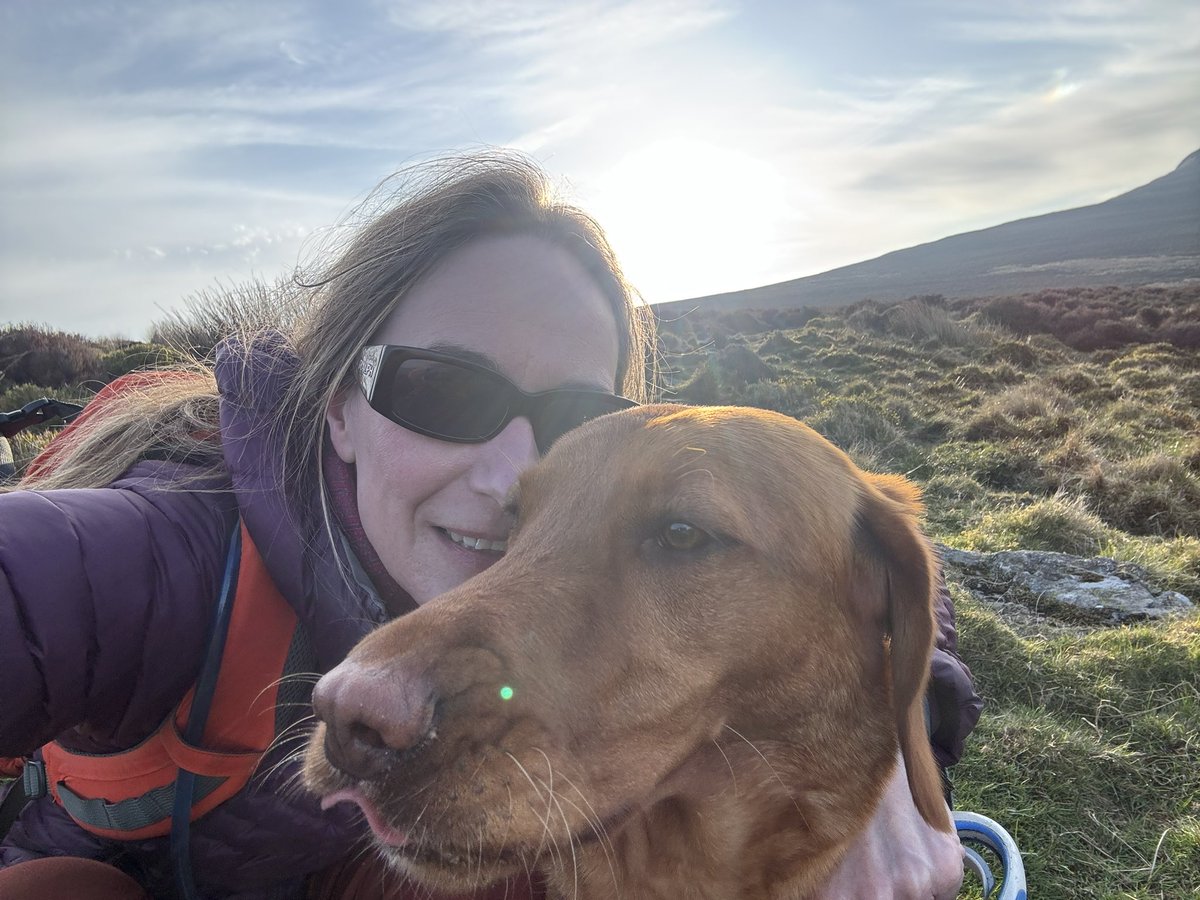 Becca3Artach's tweet photo. Toast on top of the world #wicklowmountains #Scarr #womansbestfriend #labrador https://t.co/1Xz5vnemDf