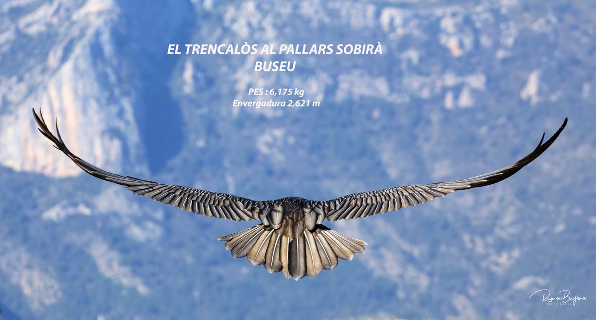 meteopallars's tweet photo. Potencia majestuosa del Trencalòs   a Buseu  #Buseuproject   #AltPirineuPallarsSobirà https://t.co/EfRrJuEfCT