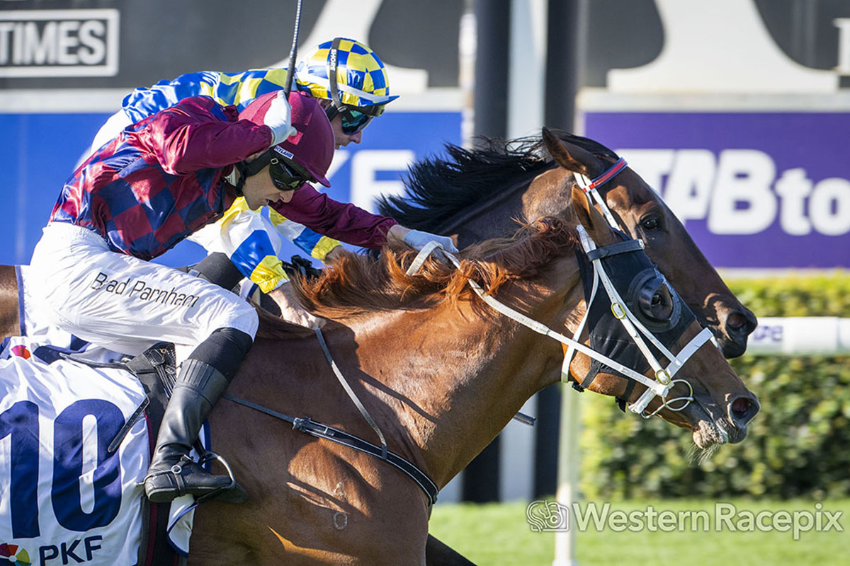 WesternRacepix's tweet photo. THE BOSS LADY - 2025 PKF Roma Cup (Group 3) @PerthRacing #WesternRacepix #GiddyUpAscot #ItalianDay
More ๐ธโ https://t.co/XhRFkk00xX https://t.co/nkCpoiOs3m