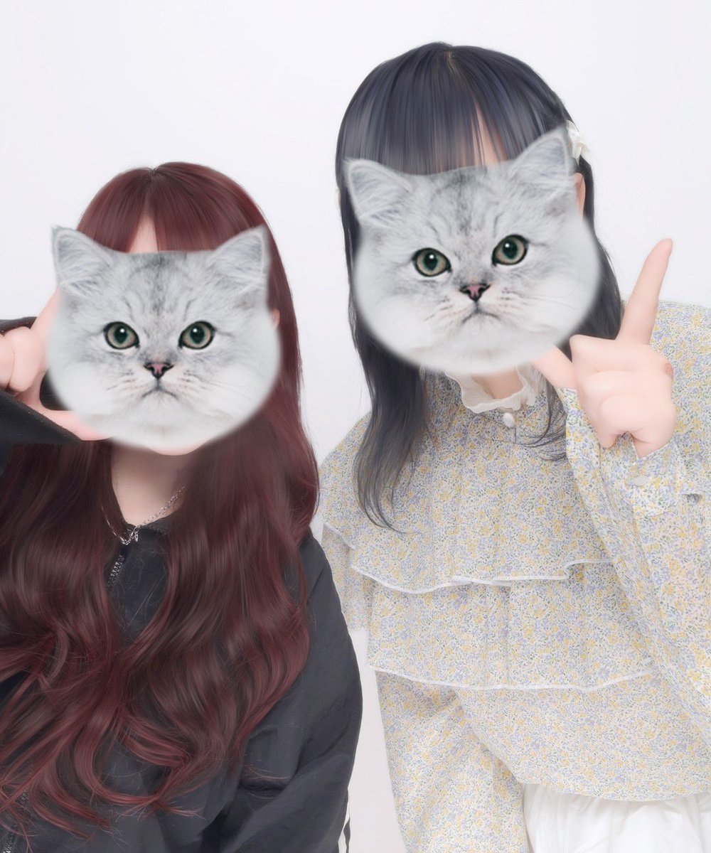 どなまる🦍🍎 tweet media