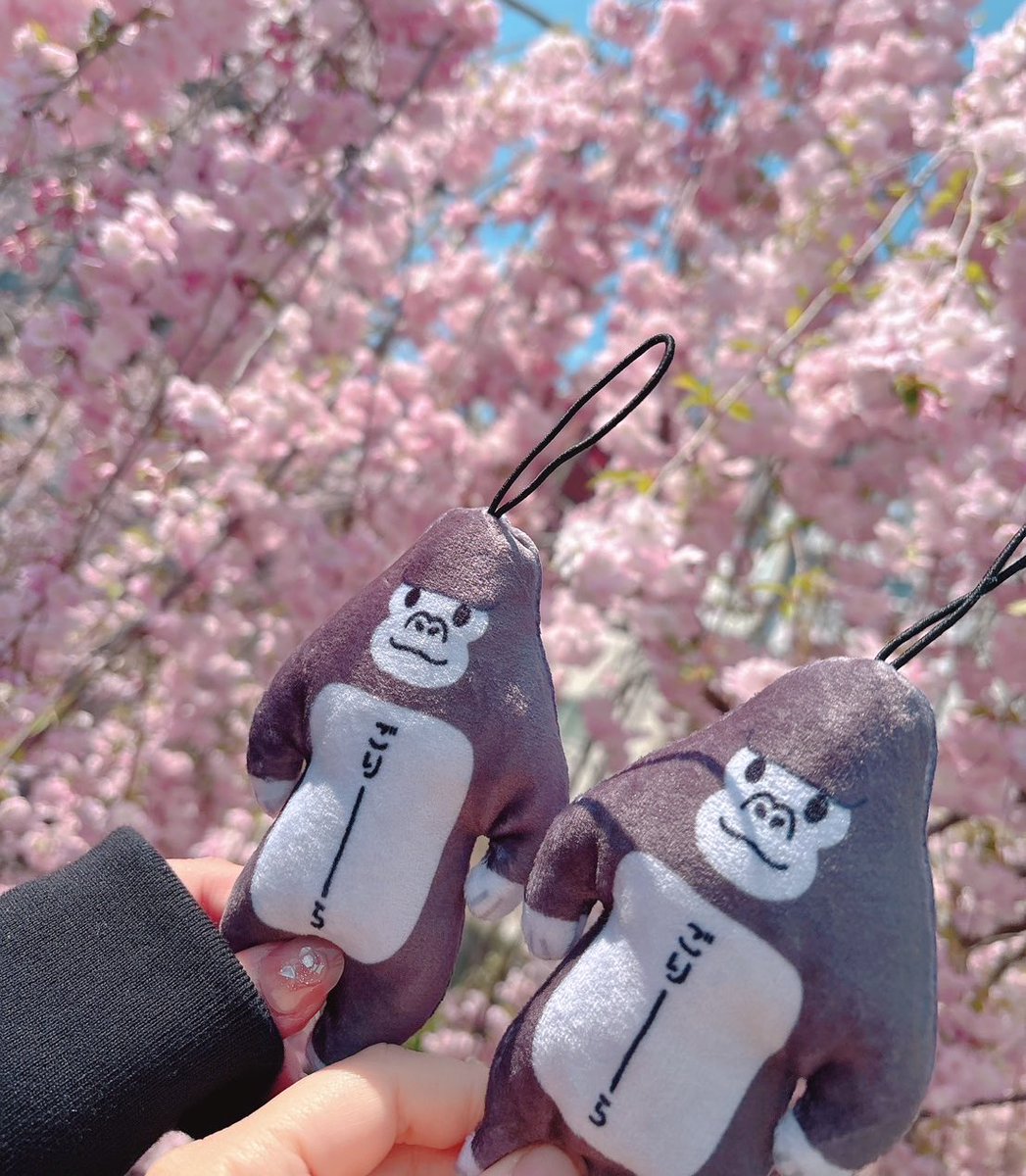 どなまる🦍🍎 tweet media