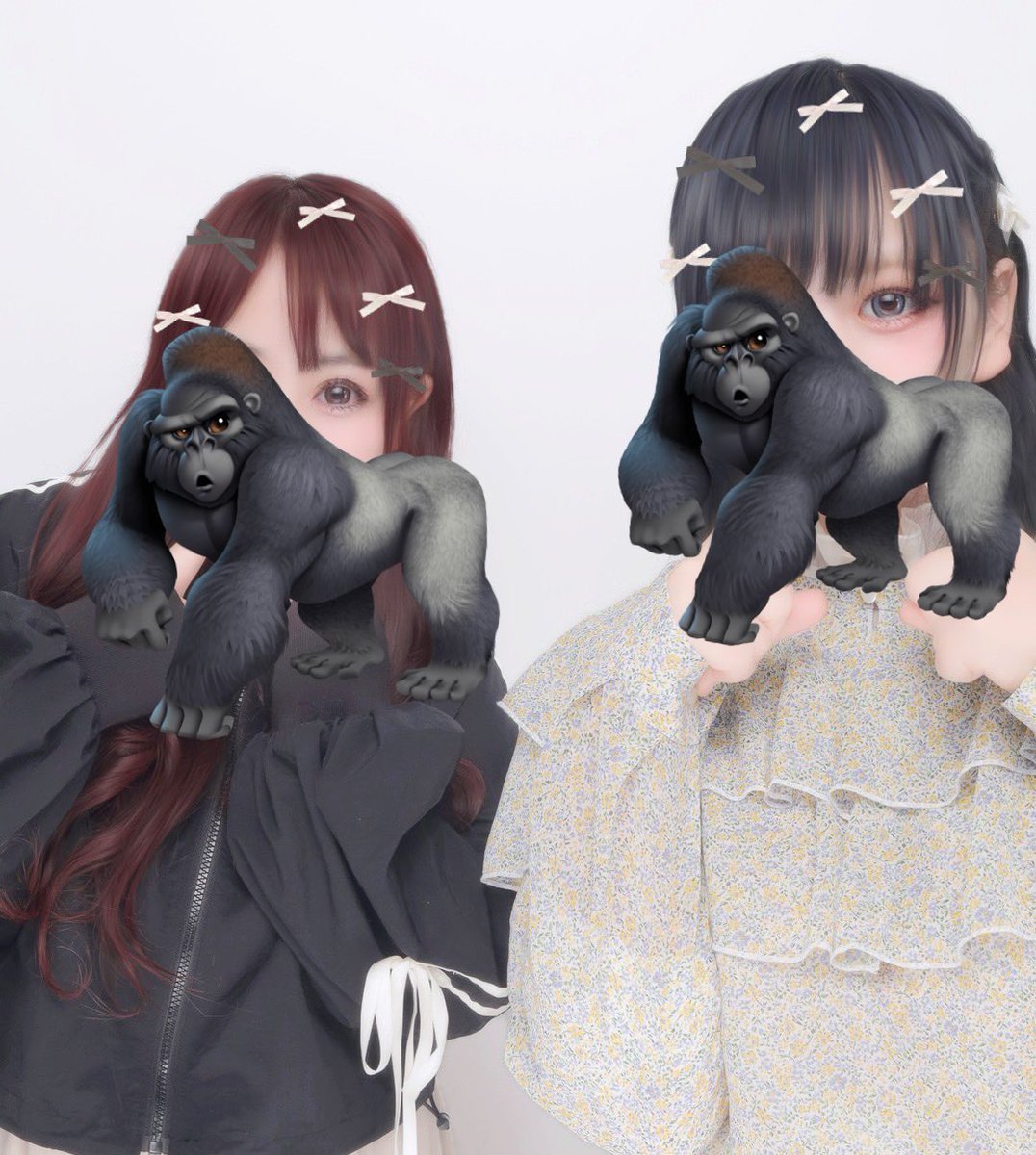 どなまる🦍🍎 tweet media