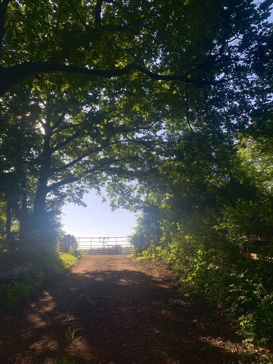 Deebs_birding's tweet photo. Hello fellow birders. Would anyone fancy conducting this year’s @BBS_birds in my square in Llancillo (10 mins drive from Abergavenny). It’s a lovely two transects with farmland, woodland and river. I’m unable to due to illness. Happy to chat more if you’re interested https://t.co/EiyMnWnLxq