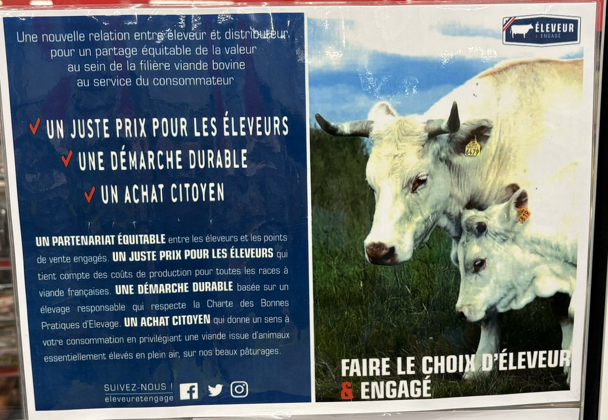 InterbevIDF's tweet photo. … et aussi notre Foodtruck pour proposer nos dégustations de viande de bœuf 🇫🇷🥩🌱#LabelRouge et ovine @BergerIdf74056
Éleveur et engagé 👍 https://t.co/hxTCUcYyqW
