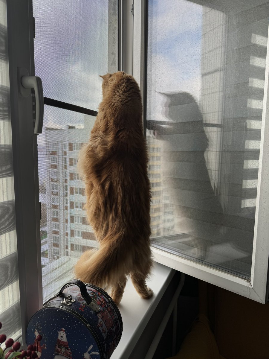 Maxim Filin tweet media