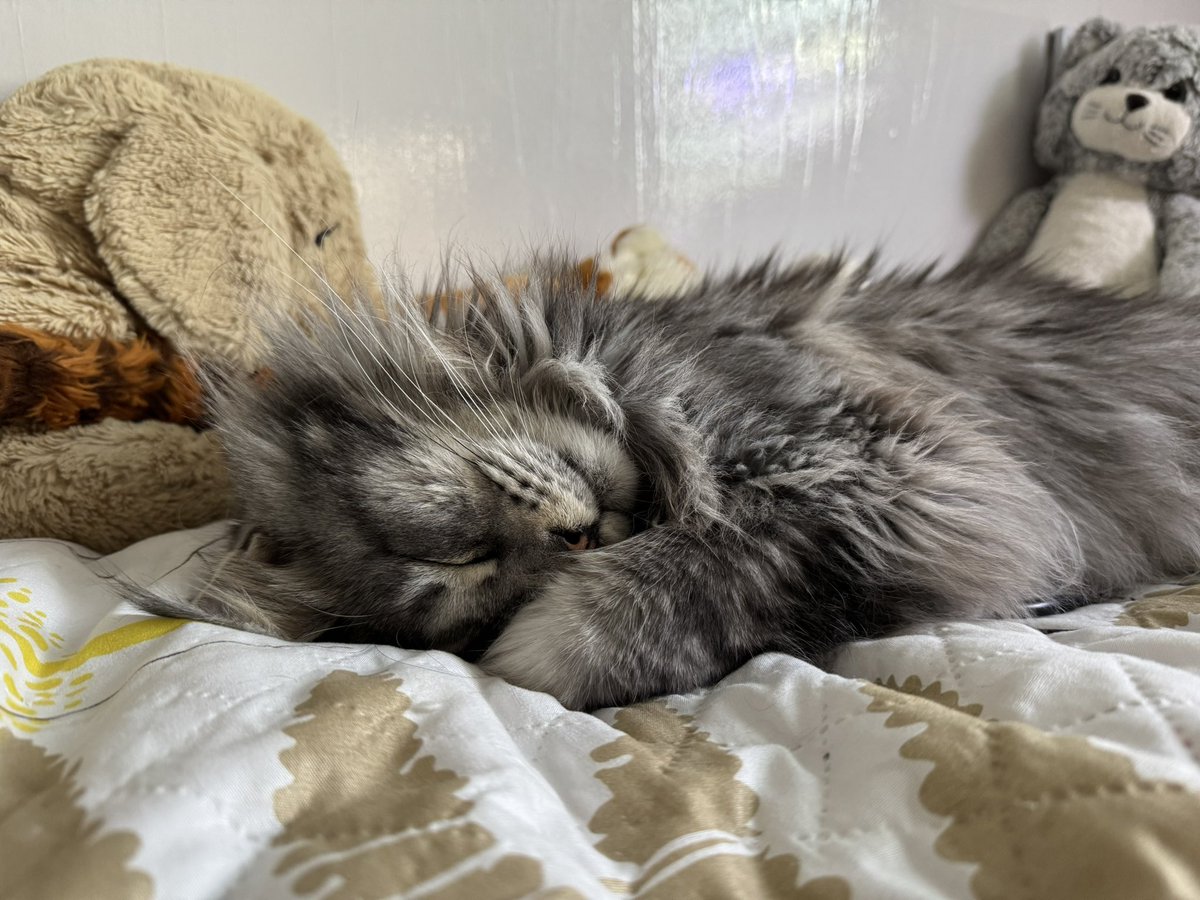 Maxim Filin tweet media