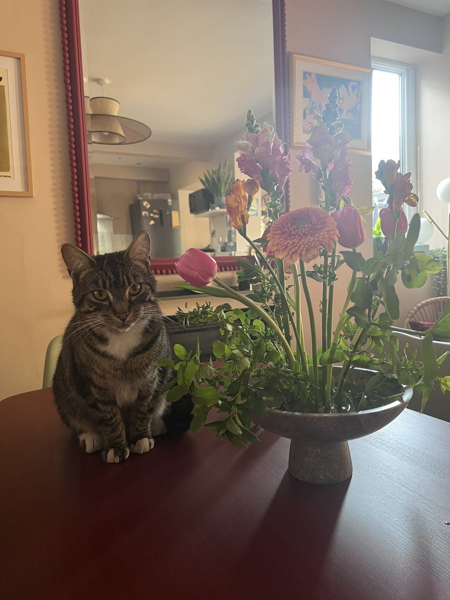 JakeNewy's tweet photo. #spring https://t.co/sZraL76V9E