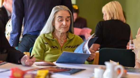 Artisan Alchemy Gallery tweet media