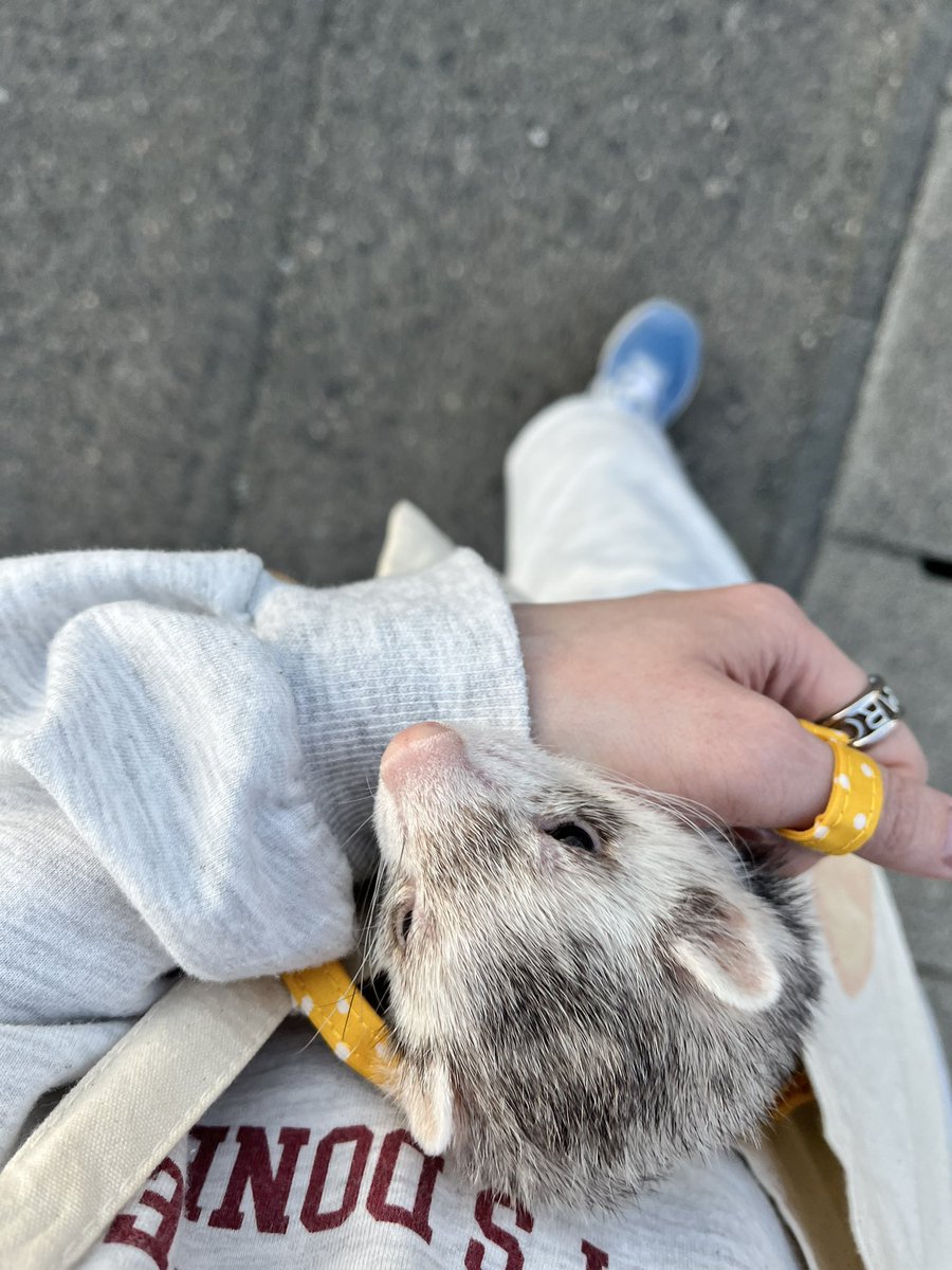 ነቼこ🫲👁️🫱 tweet media