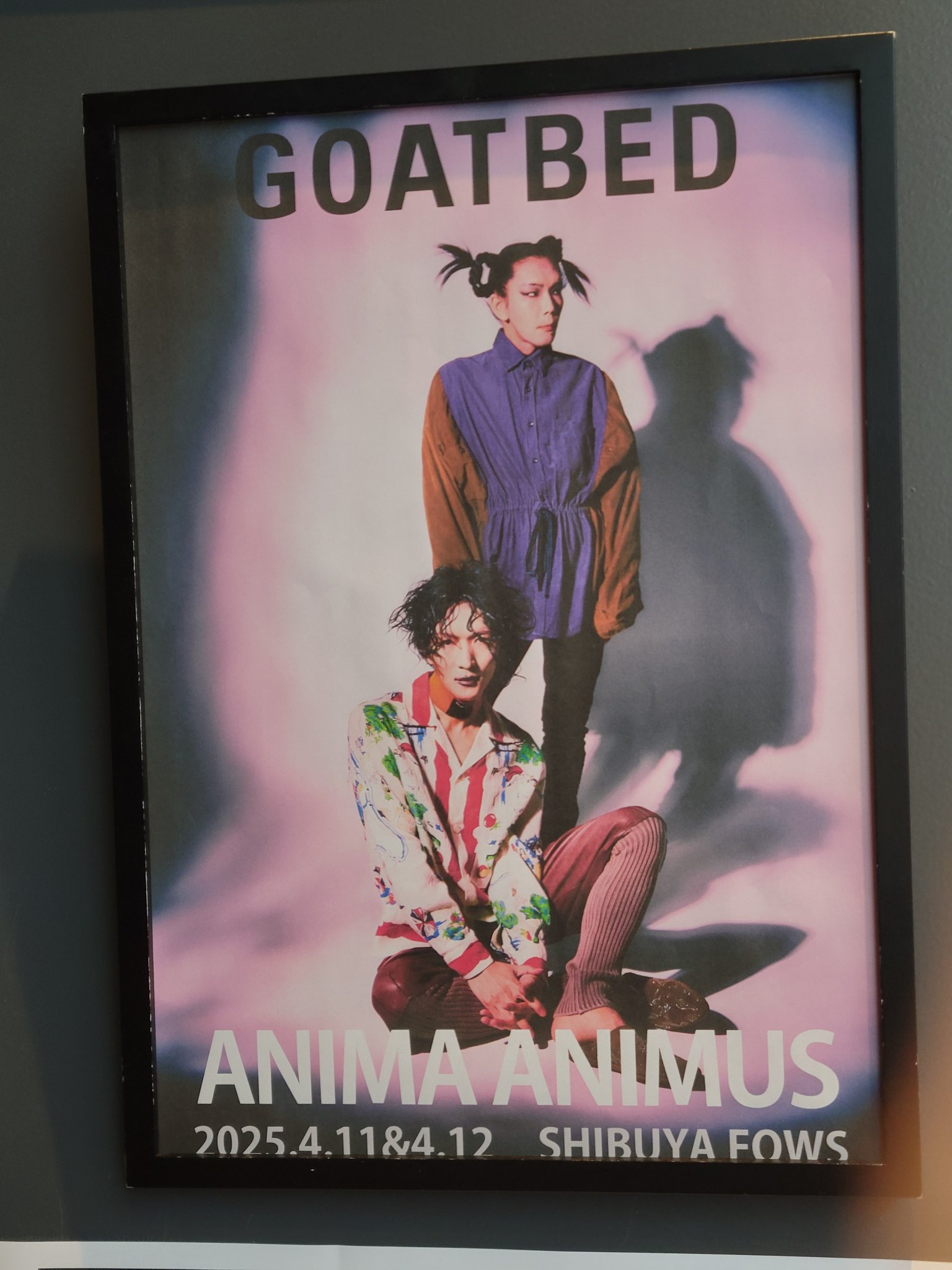 GOATBED ANIMA ANIMUS CD 4/20配布DLカード 新品