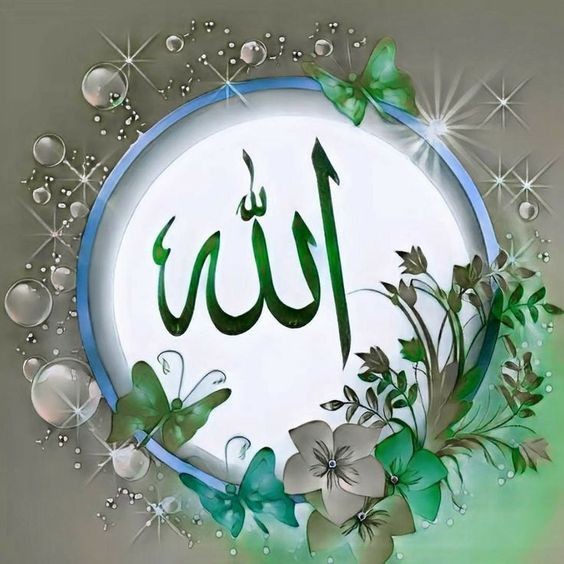 MD_Ahmad99's tweet image. #Asslamu_Alaikum ✨
#Good_Morning_X_Family
"गुनाह चाहे पहाड़ जितने बड़े क्यों न हों,
अगर दिल सच्चा हो —
तो एक आंसू में अल्लाह सब माफ कर देता है...।"
#Tauba #AllahForgives 🌹🤍❤️💚🌹