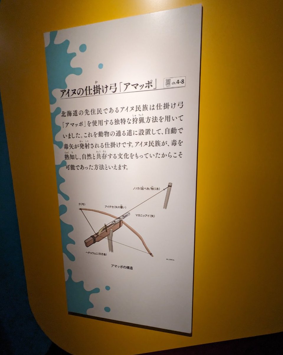 もっと知りたい アイヌ民族の弓矢🏹 今動画みました、弓矢が登場