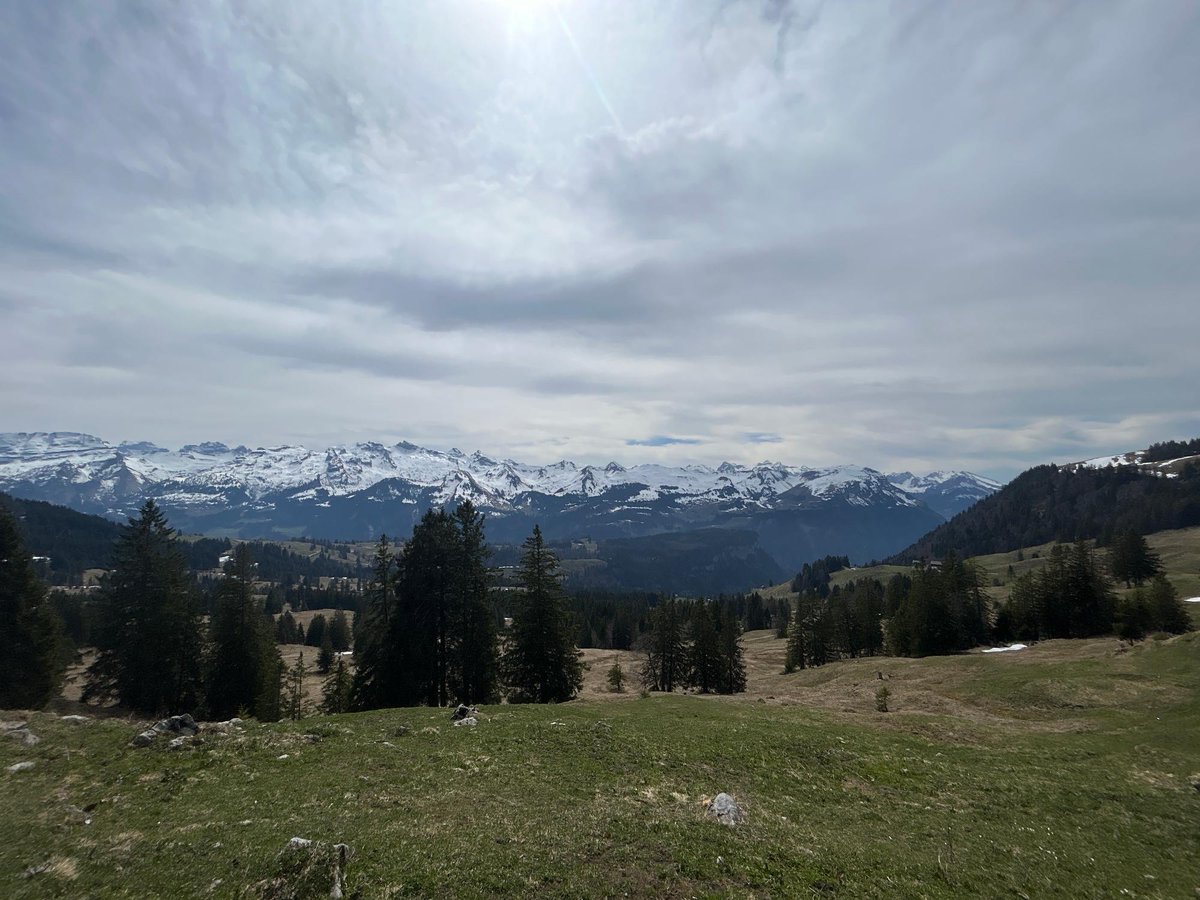 meteoschweiz's tweet image. Das wetterbestimmende #Hochdruckgebiet schwächt sich ab und wird nun von einem #Tief verdrängt. Heute gelangte bereits dichte #Altostratus-Bewölkung zur Schweiz. Wir gehen im heutigen #Meteoblog meteoschweiz.admin.ch/ueber-uns/mete… auf diesen  Wetterwechsel ein. Bild: Meteomeldungen App.