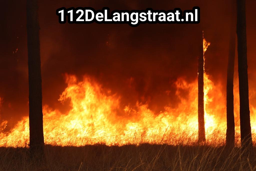 Zeer grote brand Loonse en Drunen duinen