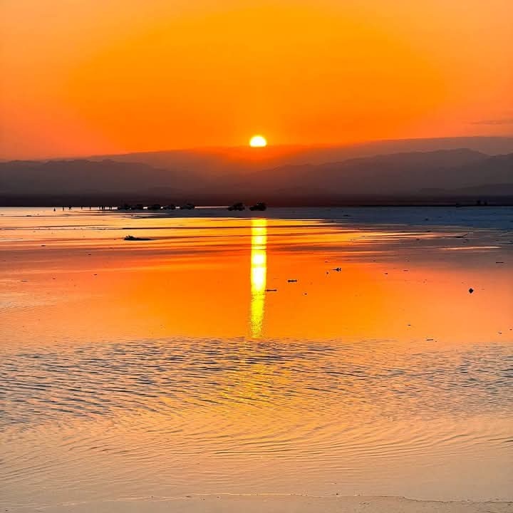 #صورة_ملف_شخصي_جديدة