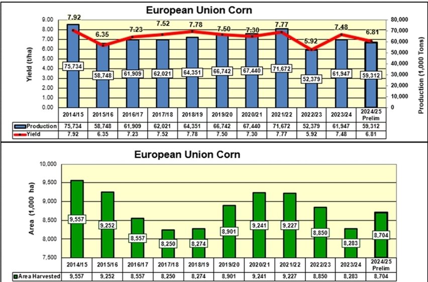 gaurav_kochar's tweet photo. 🌽 EU corn output up!
2024/25 est: 59.3M MT (+1.3M MoM), but still down 4% YoY & 7% below 5yr avg.
🧑🌾 Area: 8.7M ha (+5% YoY)
📈 Yield: 6.81 t/ha (vs 7.48 last year)
Recovery on track, but still under past averages.
#EUCorn #AgStats #Farming #GrainMarket https://t.co/uUDAiA2dJg