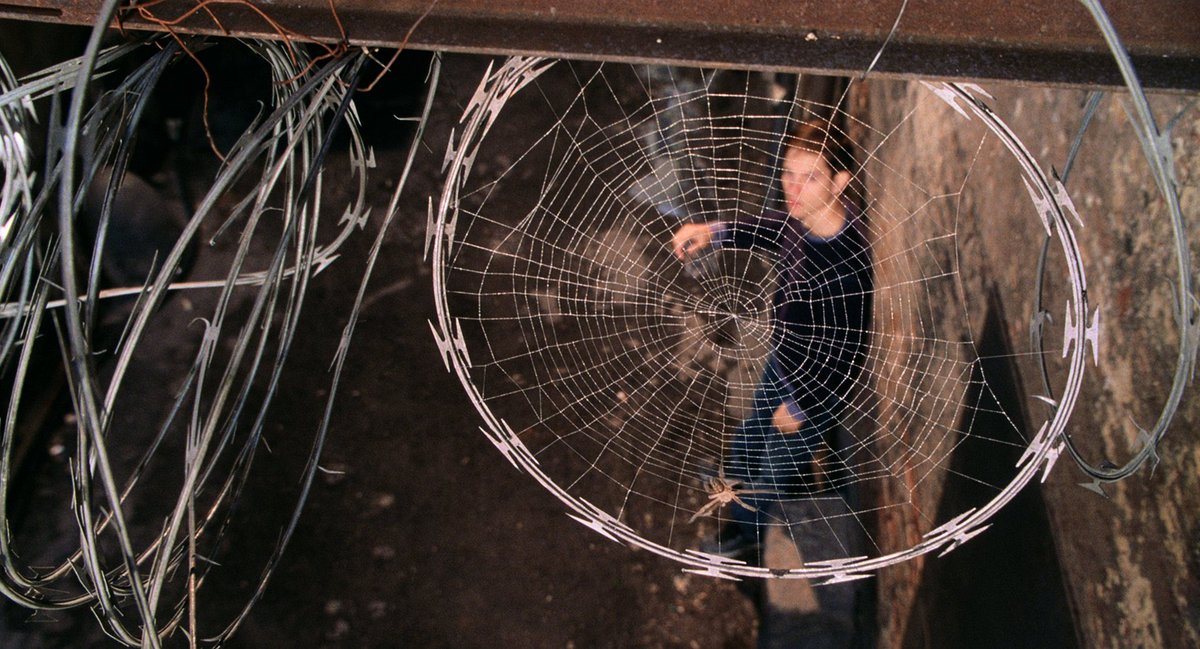 No Context Tobey Maguire tweet media