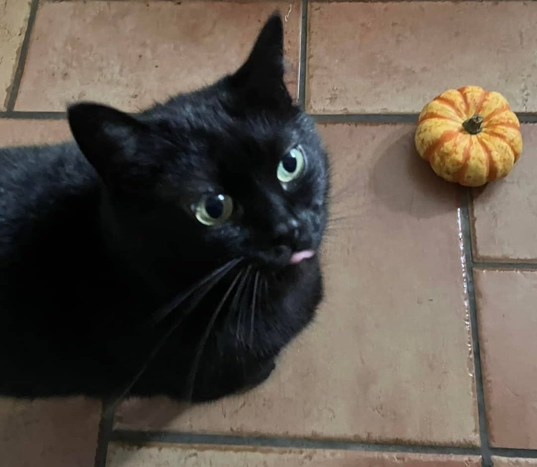 Dr Eva Burke tweet media