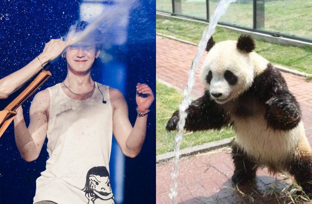 kun as panda tweet media