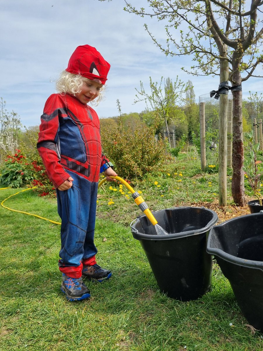 fruitnutvillage's tweet photo. The winter is over, but the planting continues at #PebbleMillPlayingFields #ForestGarden #SellyParkSouth.@TNLComFund #Redcurrant #Blackcurrant #Saltbush #BabyBlueEyes #DayLillies #LittleMissFiggy #GarlicChives https://t.co/95phgqmoaR