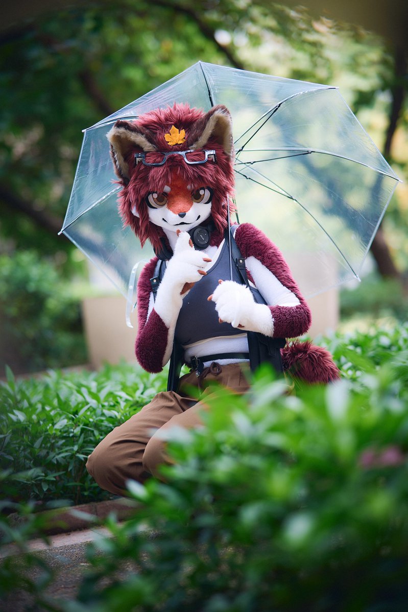 #fursuiteveryday #furry
Is it hidden?☔🦊️🤫