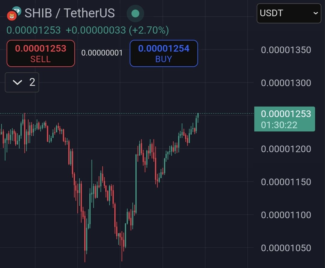 $SHIB KNIGHT tweet media