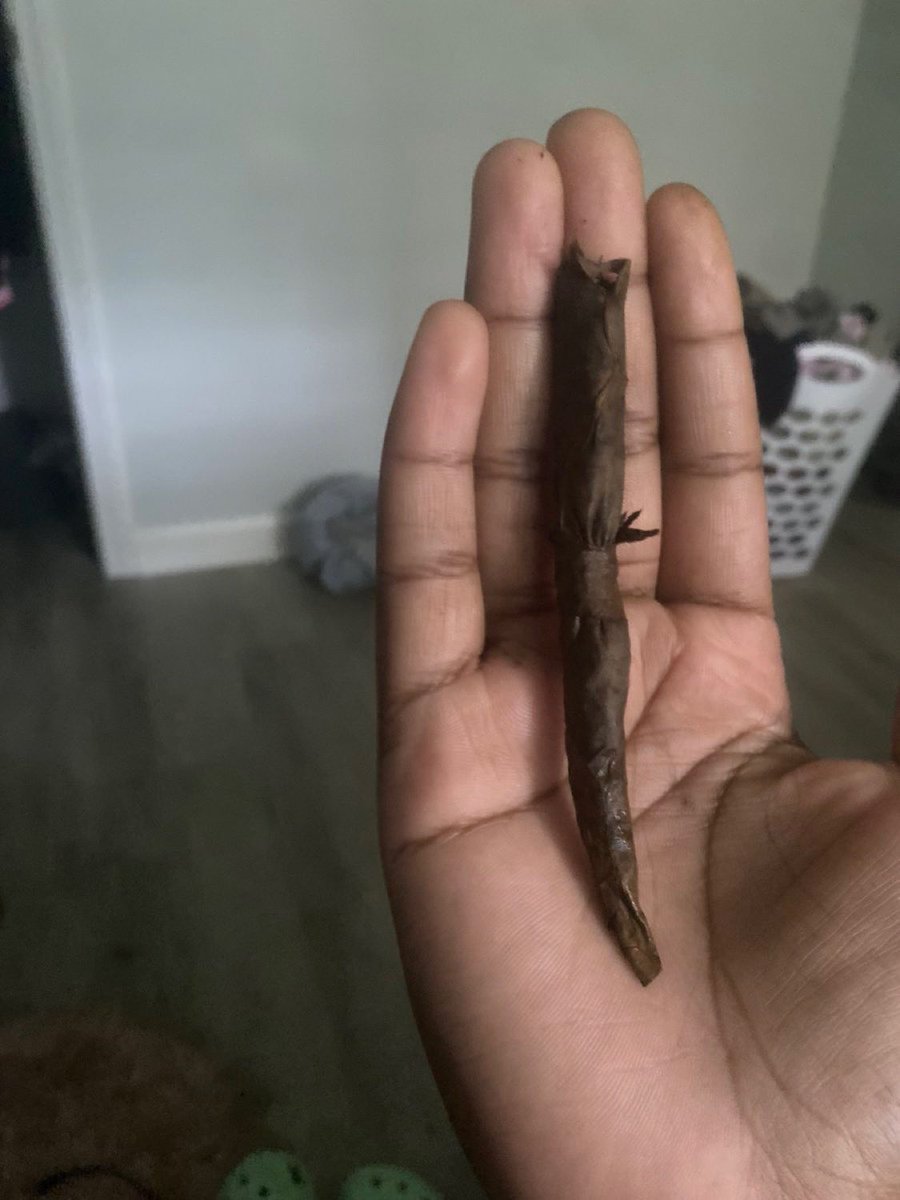 usermooseontwt's tweet photo. I can’t roll a wood to save my life https://t.co/sQvFFdJseW