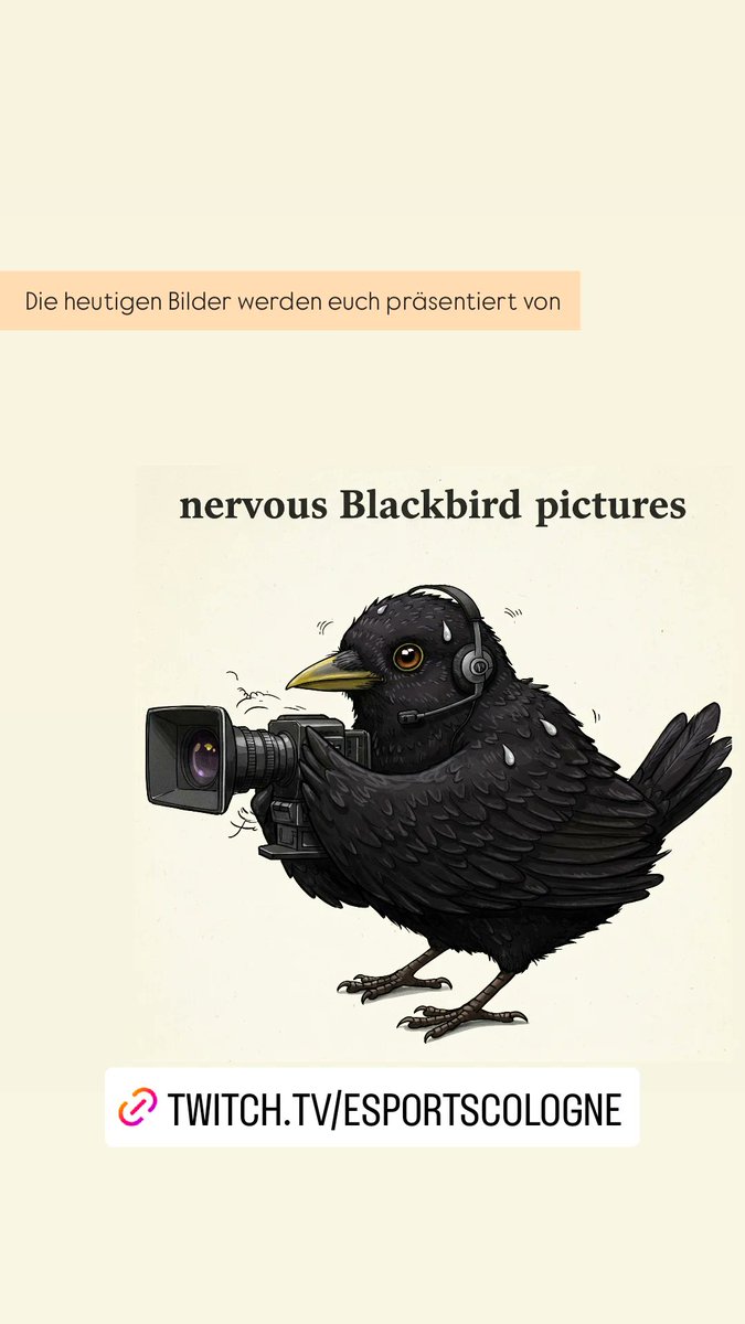 Spamsel ✪ tweet media