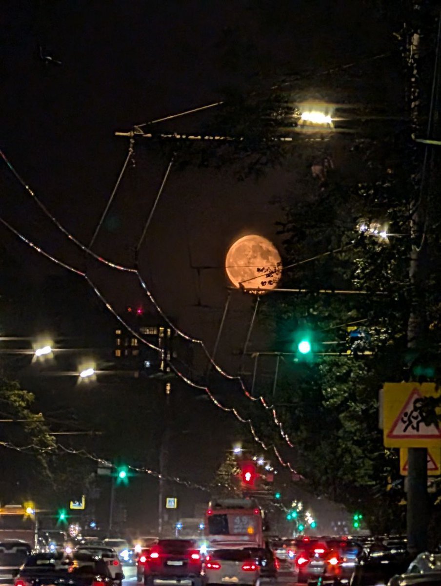 🍣 кейси медная монетка 🍣 tweet media