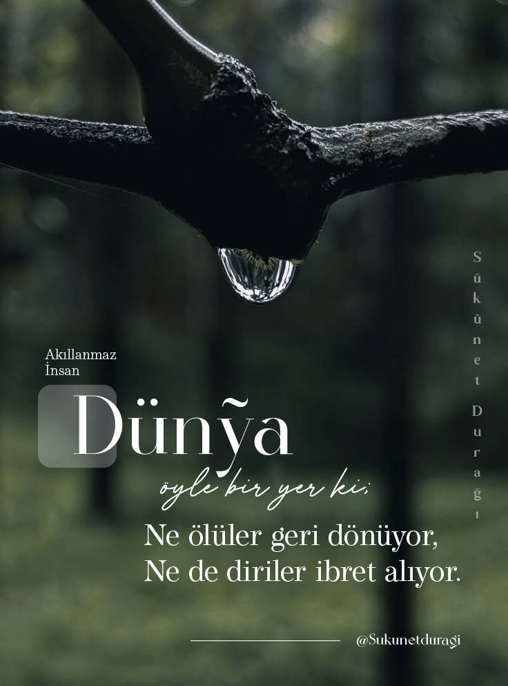 Sukunetduragi's tweet photo. Dünya öyle bir yer ki;
Ne ölüler geri dönüyor,
Ne de diriler ibret alıyor.

#Cumartesi #İbretAl #DünyaHayatı  İslami Sözler https://t.co/8FBTwqvpsy