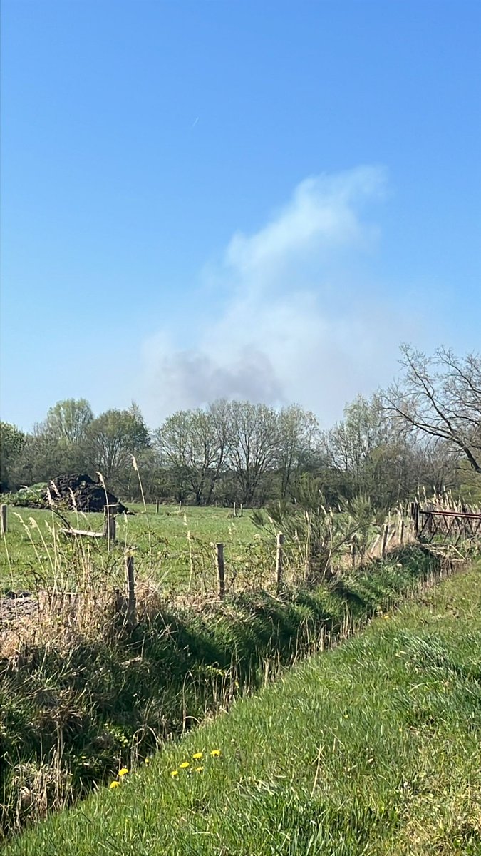 Brand in bos aan Kanaalweg in Drunen