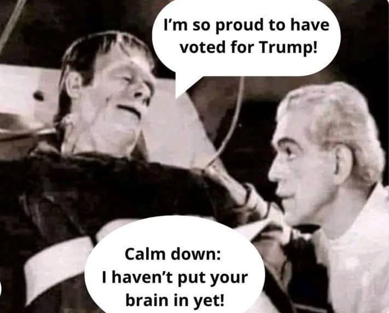 ckronstedt's tweet photo. @AnnieForTruth #MAGACultMorons can't handle the #Truth and #Facts only what #FoxNotNews and Trumpy tells them to believe! https://t.co/J9akyJA8wJ