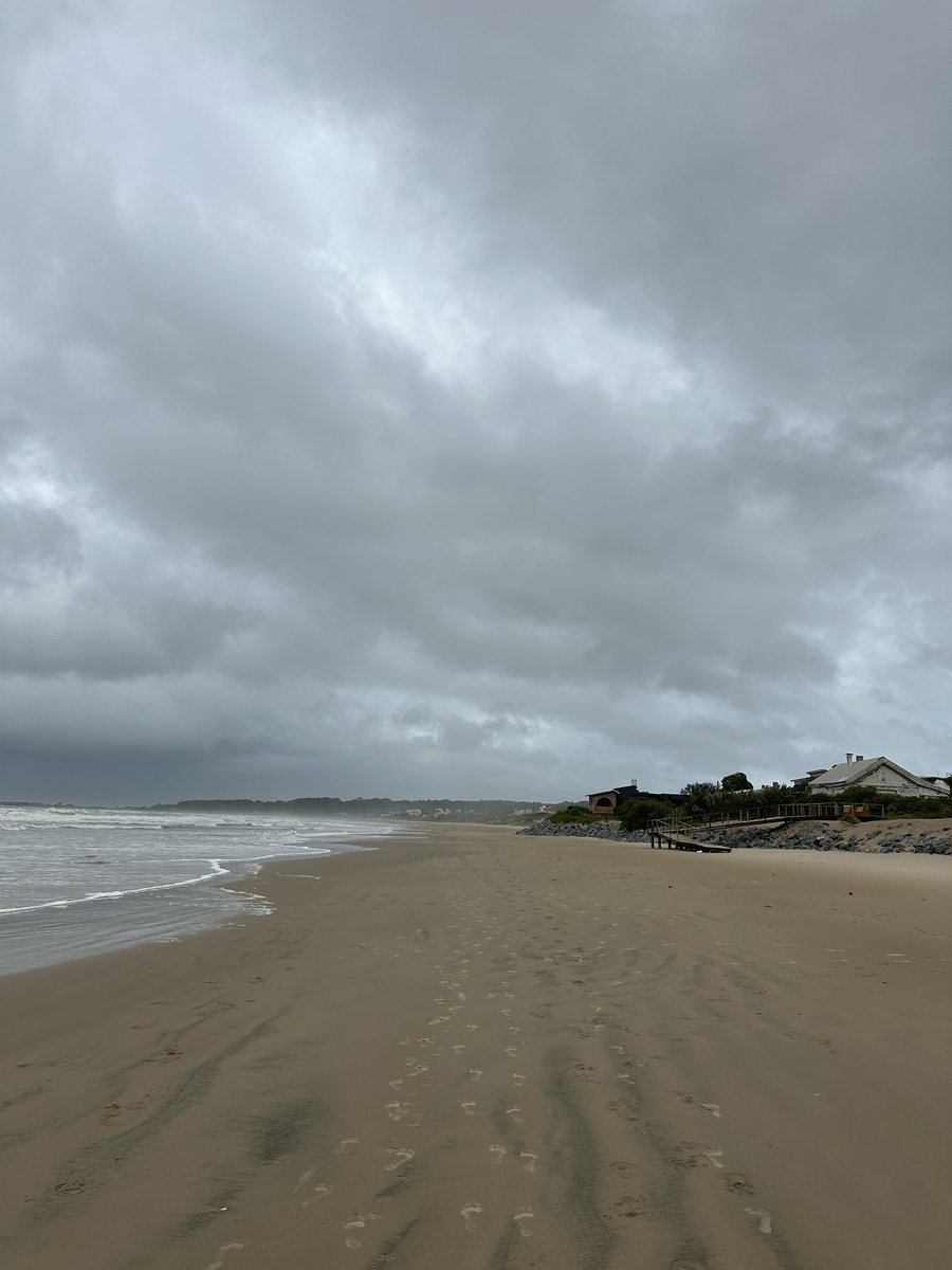 Sábado previo a turismo, llovizna, sale el sol, vuelve la lluvia pero la temperatura es agradable 🌤️🌧️⛅️🌊
Costa Azul - La Paloma - Rocha
<a href="/Uruguay_Natural/">Uruguay Natural</a> <a href="/MAmbienteuy/">Ministerio de Ambiente</a>