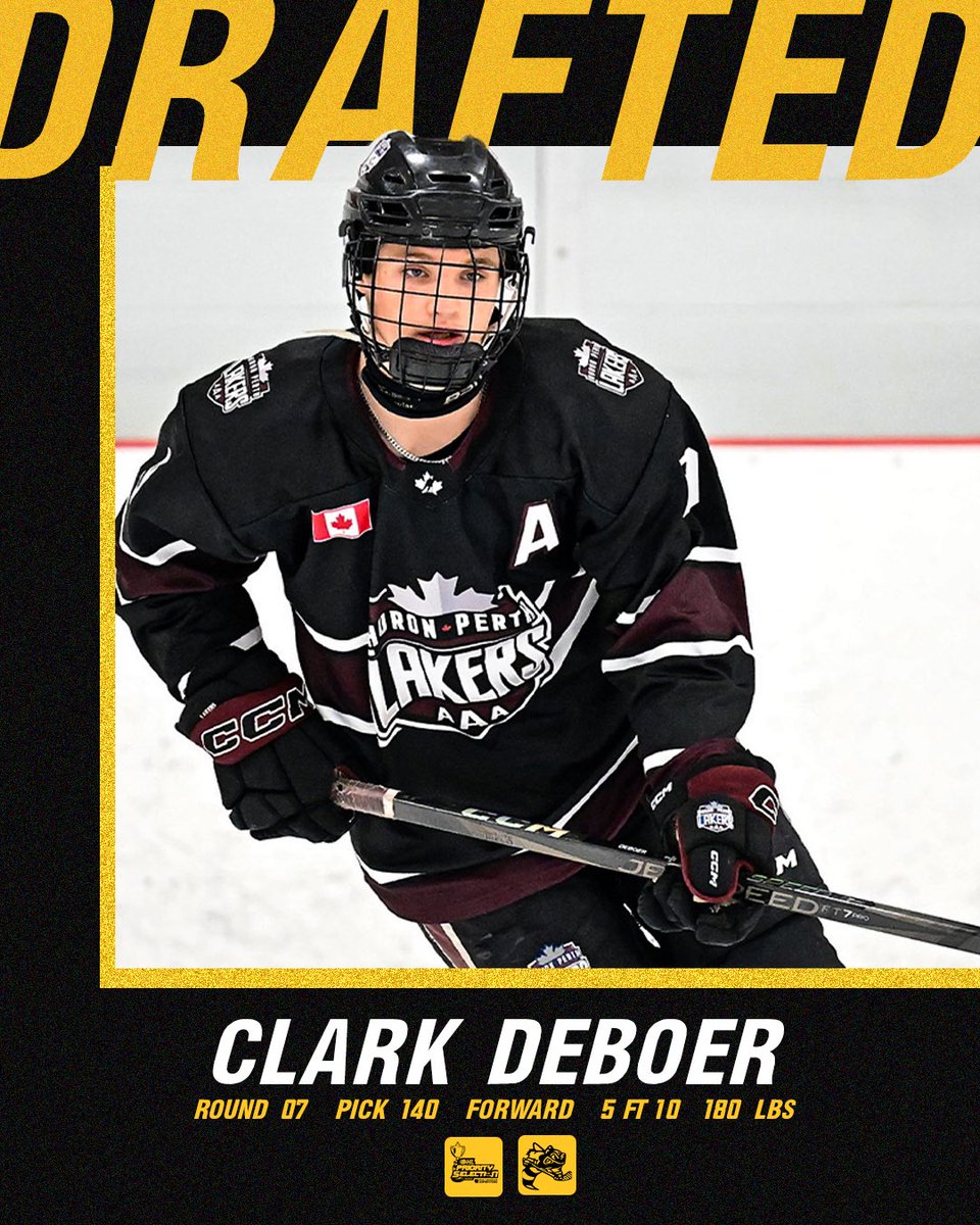 Sarnia Sting tweet media