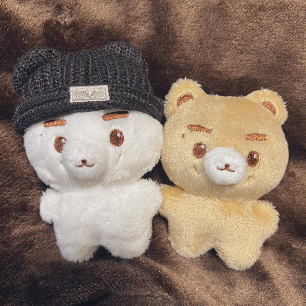 Hal_proto's tweet photo. クニベア🐻‍❄️🐻がおうちに来ました！
ずっと可愛いなと思っていたので今回買えてとても嬉しい🥰

@got_elichan 
@kunniebear
この度はお忙しい中お取りまとめいただきありがとうございました！ https://t.co/BYjmAVjWTV