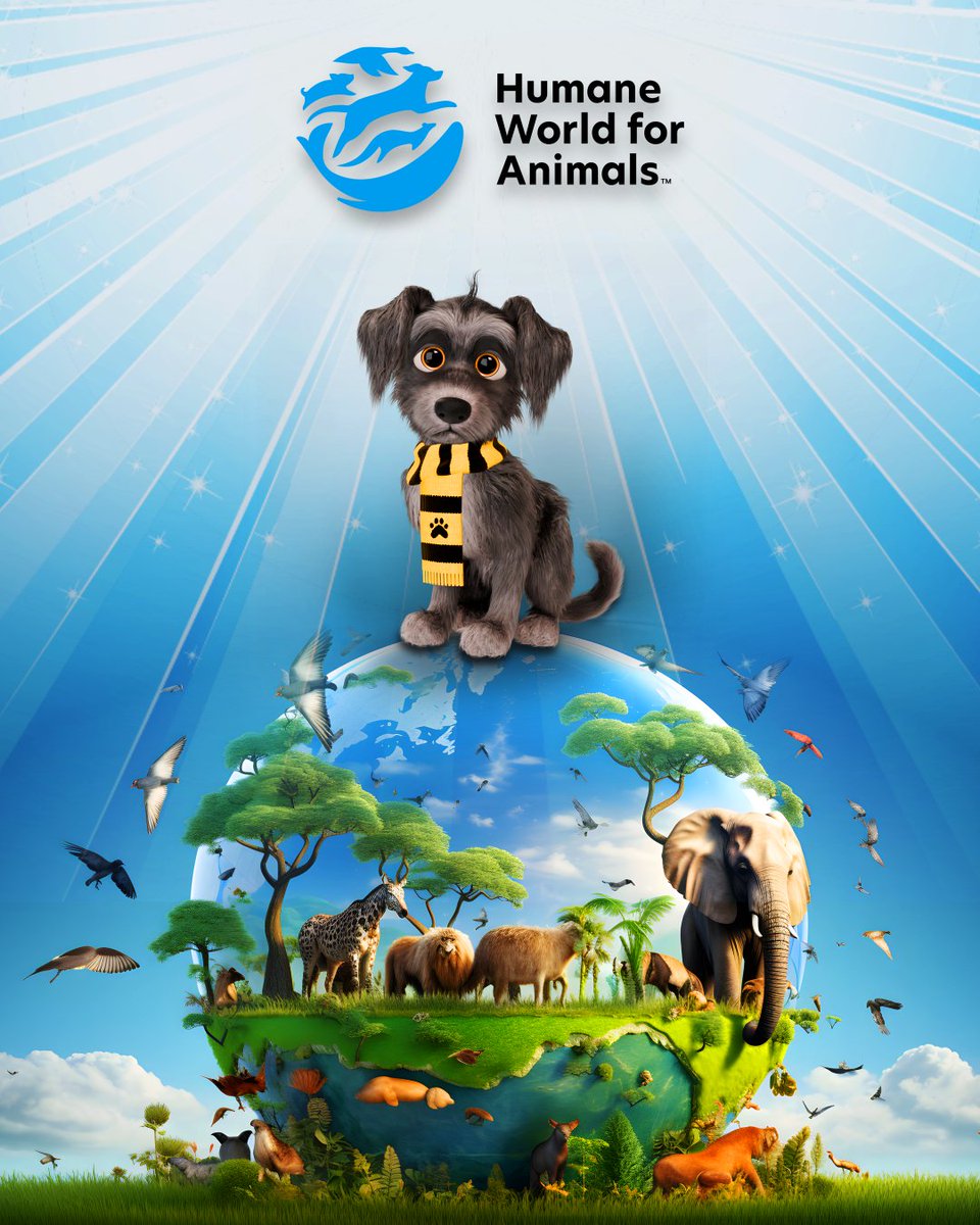 Fred’s mission is more than just crypto—it’s about making a difference.

And that’s why we want to spread the word about Animal Care Expo 2025, where experts, shelters, and advocates will discuss new ways to protect and care for animals. 🐾

We’re building a global brand with